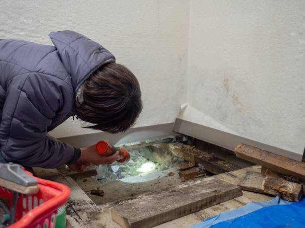 Best Dehumidification Services  in Glencoe, AL