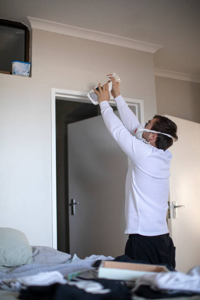 Environmental Consulting for Mold Prevention in Glencoe, AL