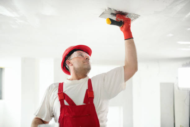 Best Asbestos and Lead Testing During Mold Inspection  in Glencoe, AL