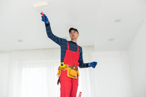Professional Mold Removal in Glencoe, AL